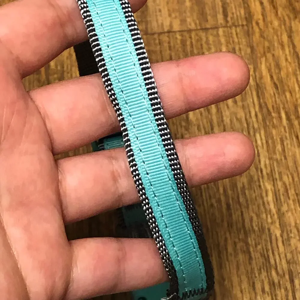 Martha Stewart Gray and Blue Adjustable Nylon Buckle Dog Collar Size 14